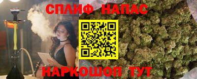 прущие грибы Комсомольск-на-Амуре