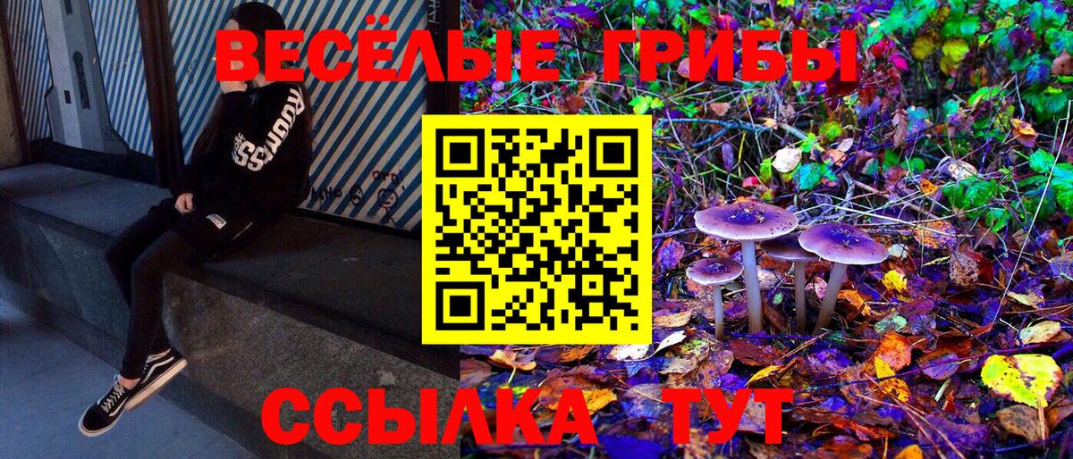 Псилоцибиновые грибы Magic Shrooms  Вход с VPN  Гусиноозёрск  Псилоцибиновые грибы прущие грибы 